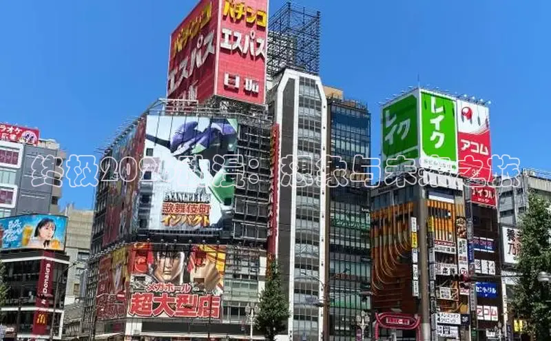 里番动漫在线观看